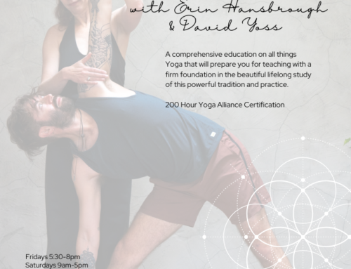 200 Hour Avastha Yoga Teacher Training